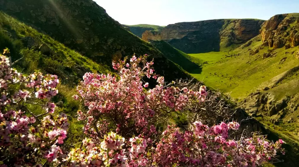 آشنایی با جاهای دیدنی بیجار