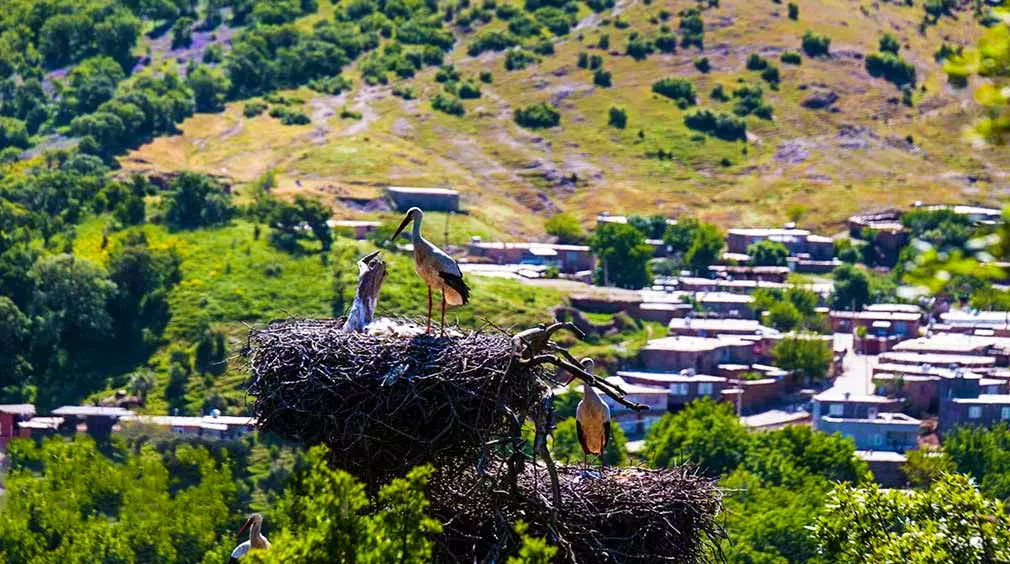 معرفی جاذبه های دیدنی شهرستان مریوان