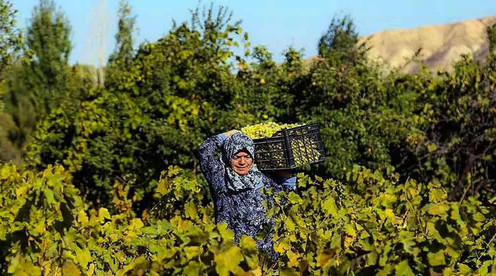 آشنایی با دیدنی های شهرستان تاکستان