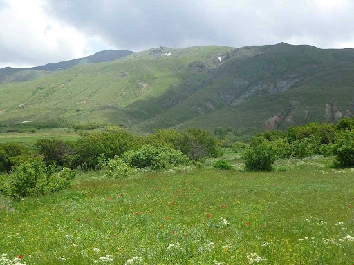 سراب کجاست؟ | باغ‌سار زیبا در میان کوهستان‌های زاگرس