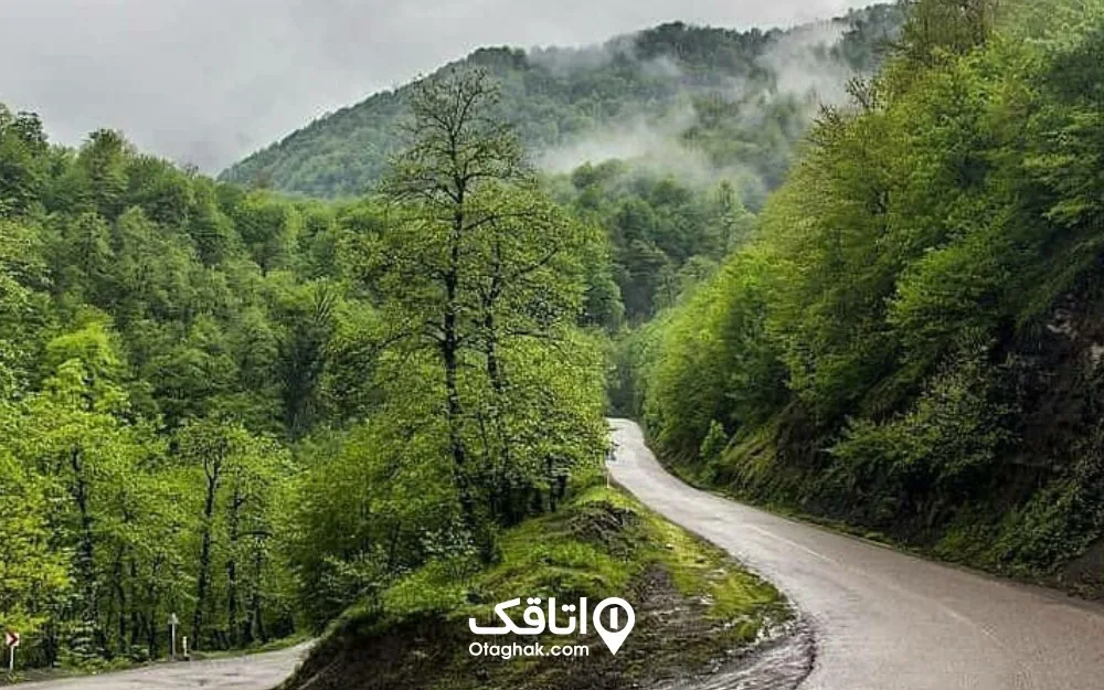 جاده جنگلی زیبای سیاهکل به دیلمان