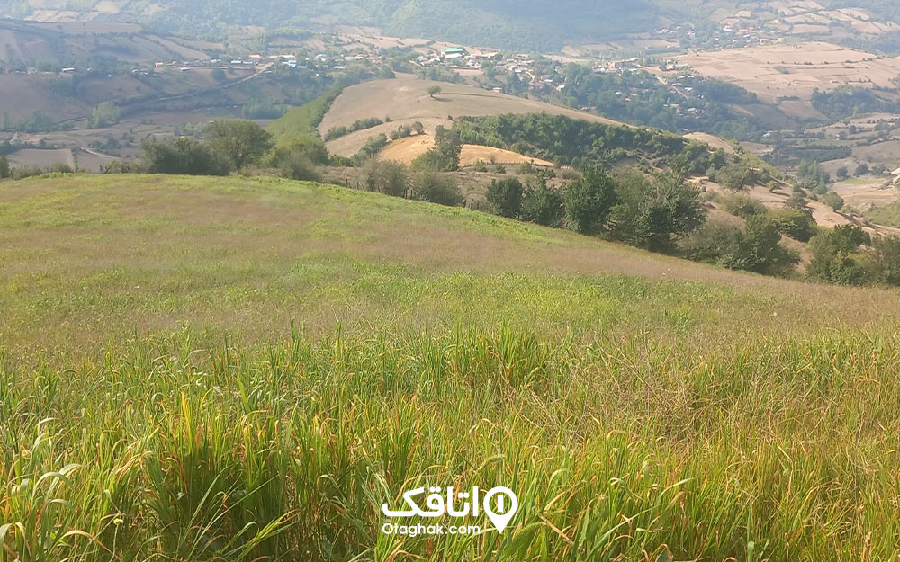 روستای کچپ محله