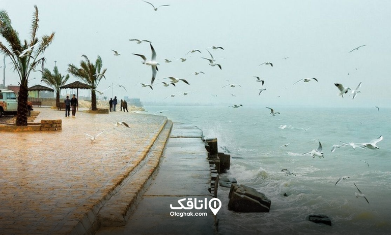 درباره بوشهر | بوشهر کجاست؟