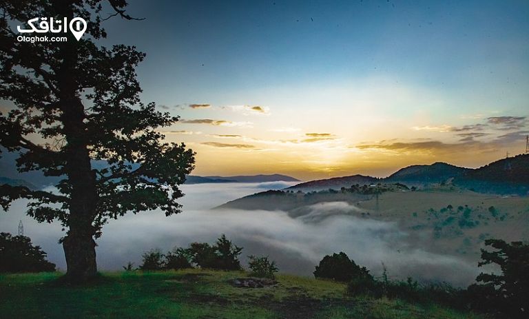 جنگل ابر سمنان؛ شاهکار طبیعت در دل ابرها